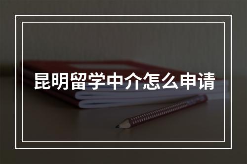 昆明留学中介怎么申请