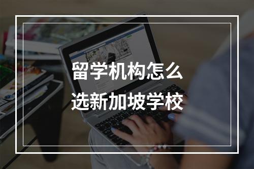 留学机构怎么选新加坡学校