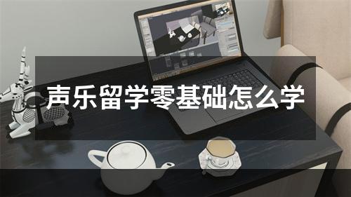 声乐留学零基础怎么学