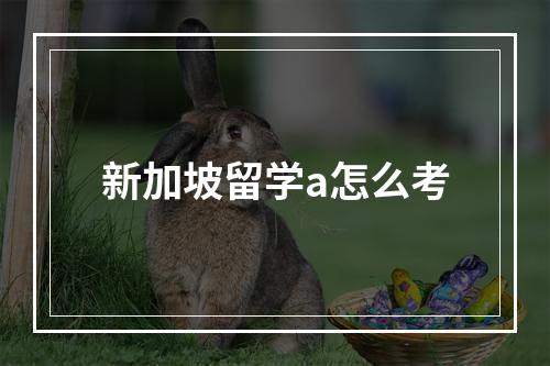 新加坡留学a怎么考