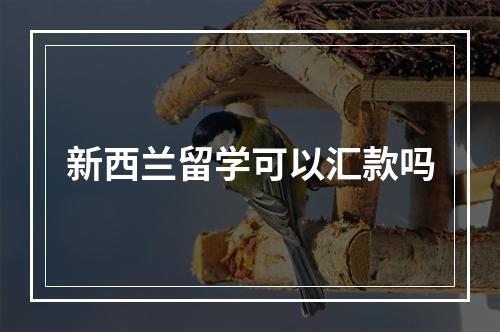 新西兰留学可以汇款吗