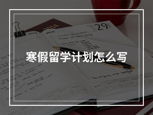 寒假留学计划怎么写