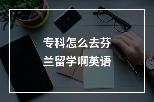 专科怎么去芬兰留学啊英语