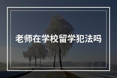 老师在学校留学犯法吗