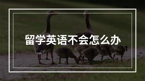 留学英语不会怎么办