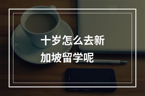 十岁怎么去新加坡留学呢