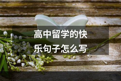 高中留学的快乐句子怎么写