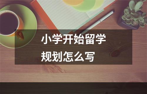 小学开始留学规划怎么写