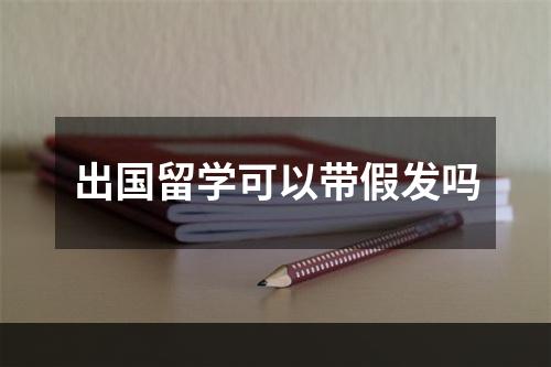 出国留学可以带假发吗