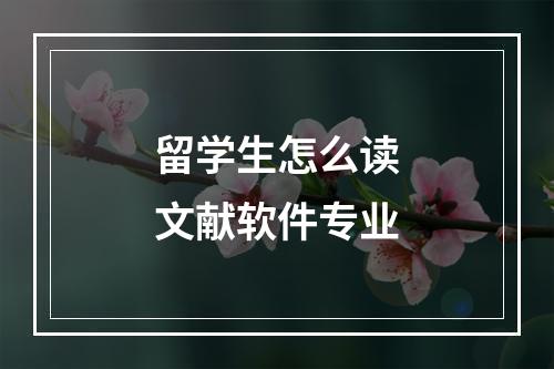 留学生怎么读文献软件专业