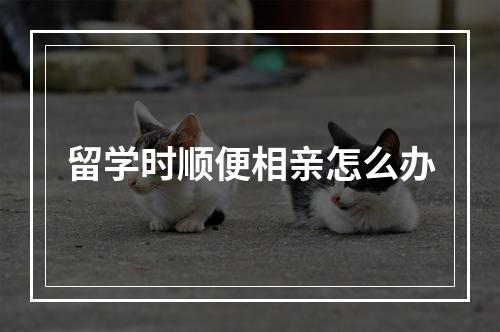 留学时顺便相亲怎么办