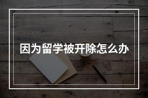 因为留学被开除怎么办