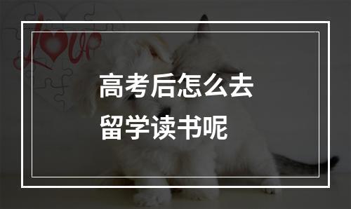 高考后怎么去留学读书呢