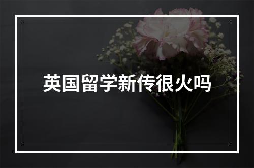 英国留学新传很火吗