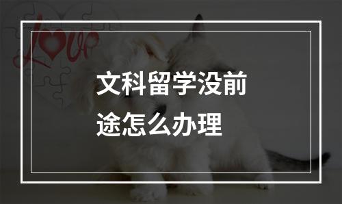 文科留学没前途怎么办理