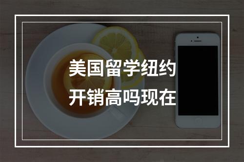 美国留学纽约开销高吗现在