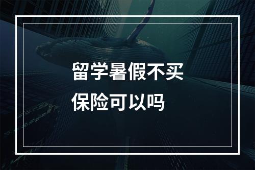 留学暑假不买保险可以吗