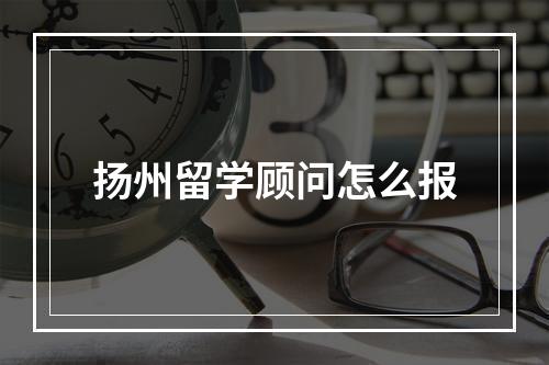 扬州留学顾问怎么报