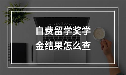 自费留学奖学金结果怎么查