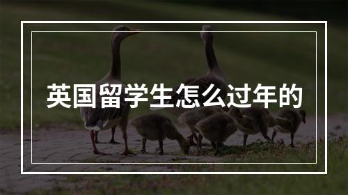 英国留学生怎么过年的