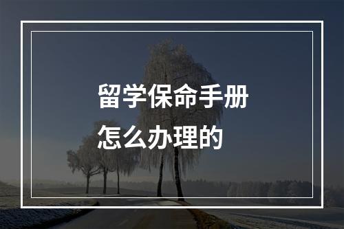 留学保命手册怎么办理的