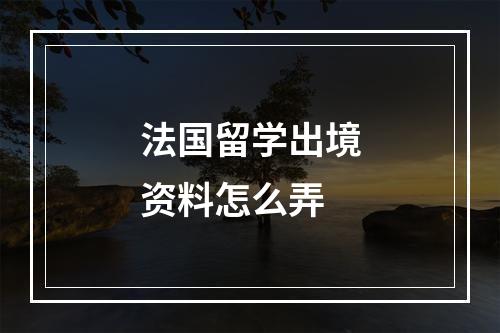 法国留学出境资料怎么弄