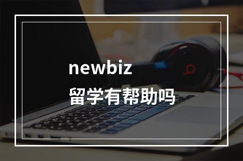 newbiz留学有帮助吗