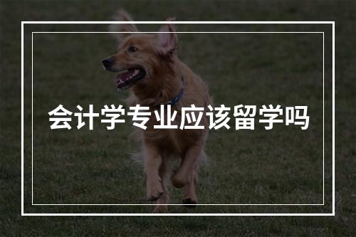 会计学专业应该留学吗