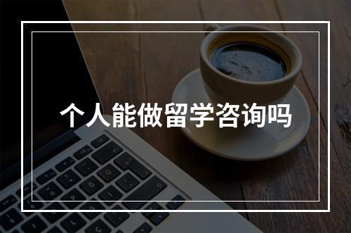 个人能做留学咨询吗