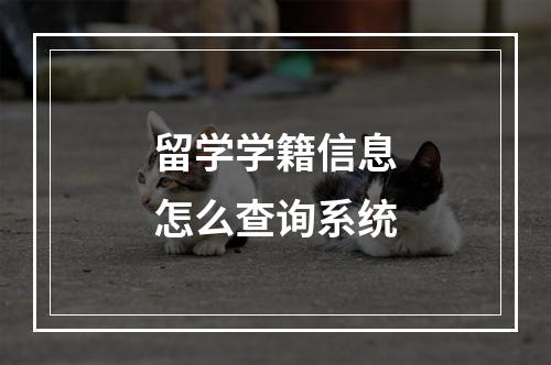 留学学籍信息怎么查询系统