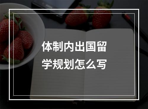 体制内出国留学规划怎么写