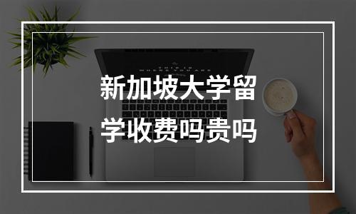 新加坡大学留学收费吗贵吗