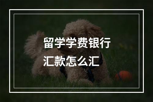 留学学费银行汇款怎么汇