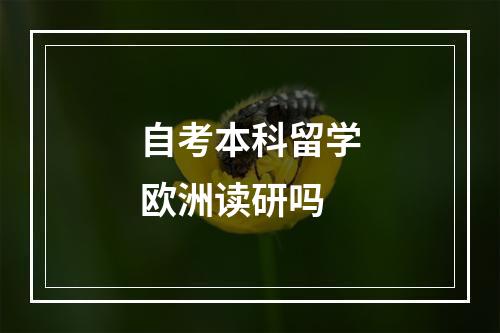 自考本科留学欧洲读研吗