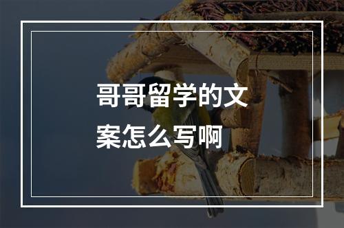 哥哥留学的文案怎么写啊