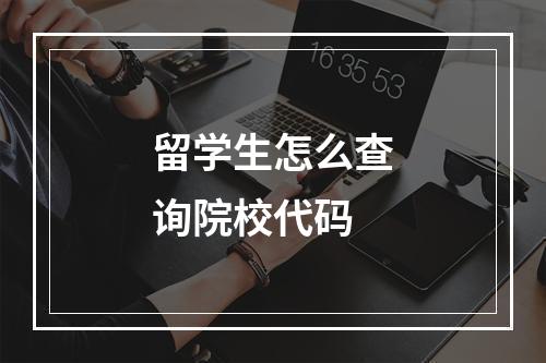 留学生怎么查询院校代码