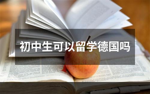 初中生可以留学德国吗