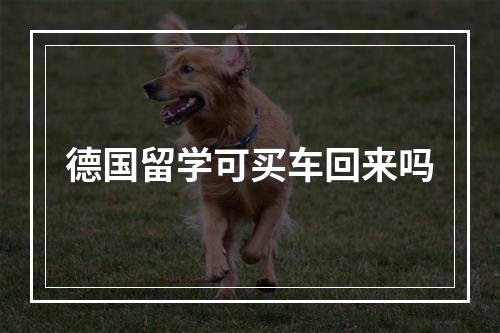 德国留学可买车回来吗