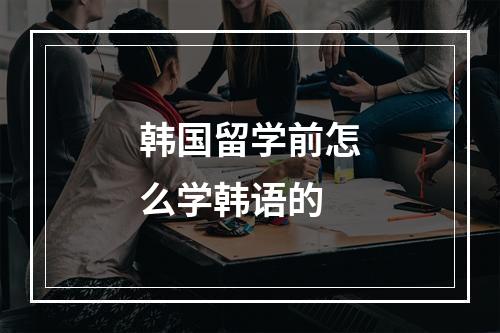 韩国留学前怎么学韩语的