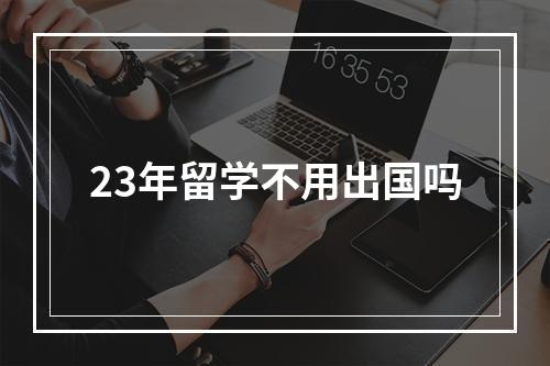 23年留学不用出国吗