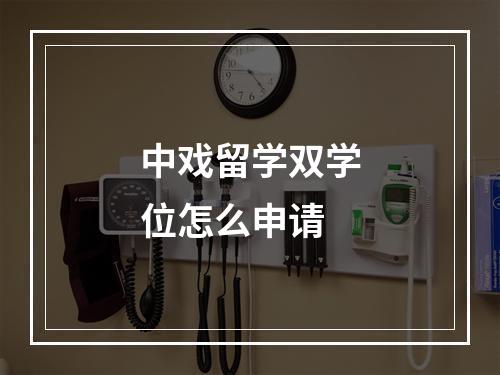 中戏留学双学位怎么申请