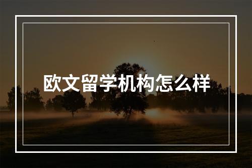 欧文留学机构怎么样