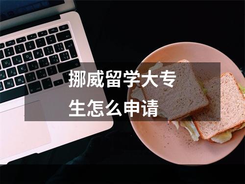 挪威留学大专生怎么申请