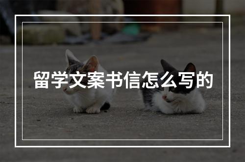 留学文案书信怎么写的