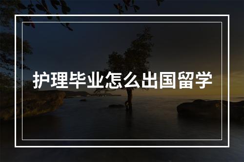 护理毕业怎么出国留学