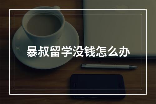 暴叔留学没钱怎么办