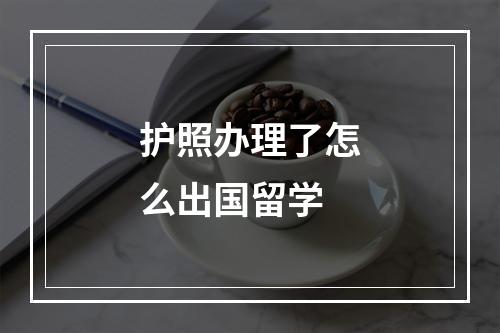 护照办理了怎么出国留学