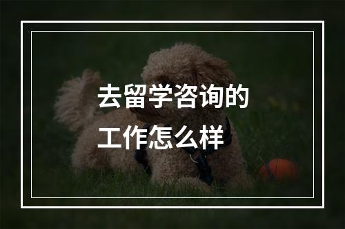 去留学咨询的工作怎么样