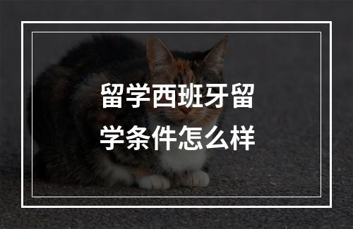 留学西班牙留学条件怎么样