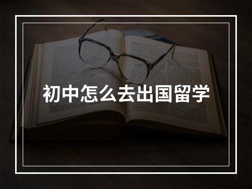 初中怎么去出国留学